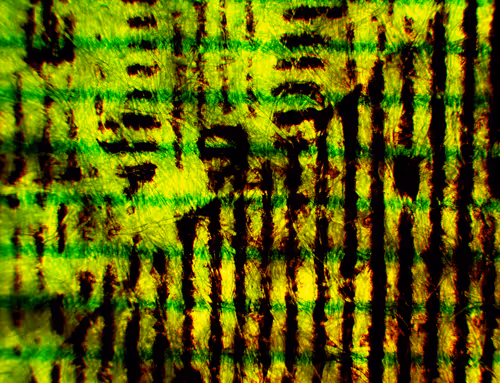 Item #762 Media