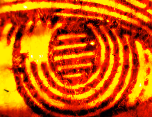 Item #859 Media
