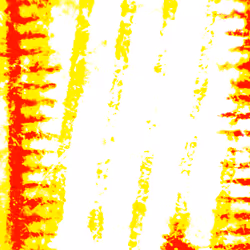1017