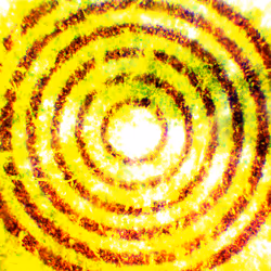 544