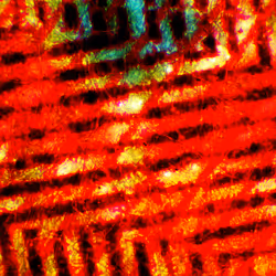 969