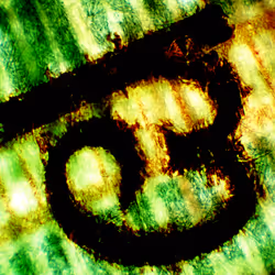 35