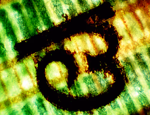 Item #35 Media