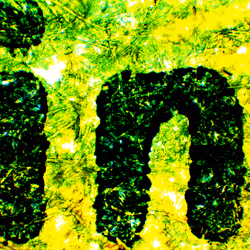 1398