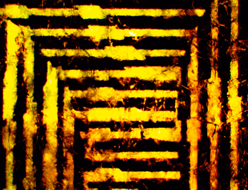 Item #512 Media