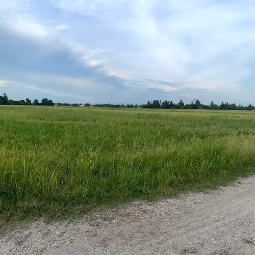 113954017496726704770006550107662166747112272502966781845521391346452693288399