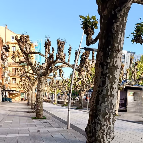 49905532973789677970354736963248841163344959257166467158412640144645850326538