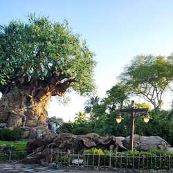 44967256687867560750245856875020218359428421459719928501703400447629012793020