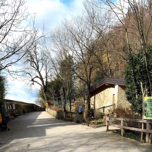 71467562655043696628450800941796204744363637986814632878430177608929880489543