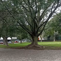 18050676601828923754143021596250830768881116827779900732941866954914219960841