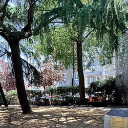 94641109902669781992418108332752442887418264155101116818778393454932450192482