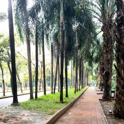 6536915634524822741264037334922874785651243483827231299107159568985270800371