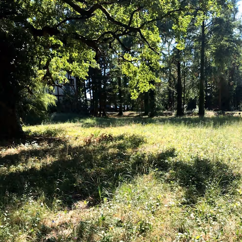 79866096891214212205804151829523593627673597504745851215658406450405995151041