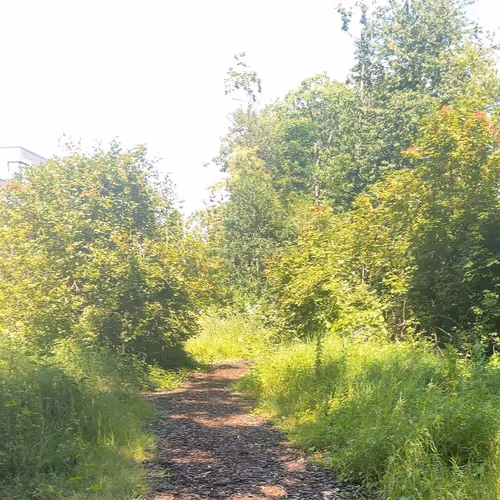 Item #31352856575285703536042155800052581026376840546883375763012386220379360531495 Media