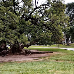 61989276866924397312022015476635229813495299994497803118349602931452718866677