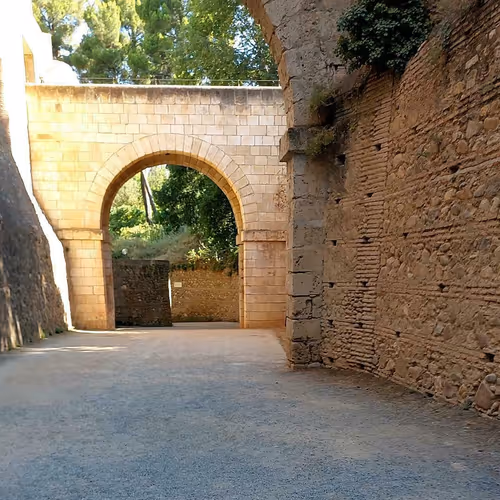 Item #61569183370204236412812429972079388272705577910052736907130980473001156364723 Media