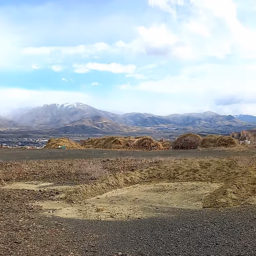 Item #16576710377925804371920908522750665638574287175583064774129210415154535352646 Media