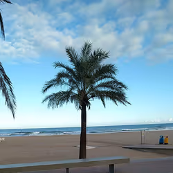 48816157349385919252557182869665052308099076637251487631796032915790431220023