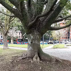 110628190157909648906247146513333074175925656909652639547020142883747337777523