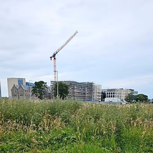 Item #83850419620070969823938432617212684461771091165845010315837018950002086002446 Media