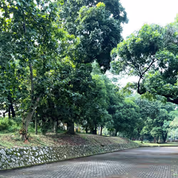 36263693043249097442474600518993076548701602801929821894064577341138996267527