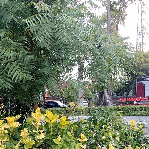 86436570758047848183959932048490761389442174423400247962695218443860384946243