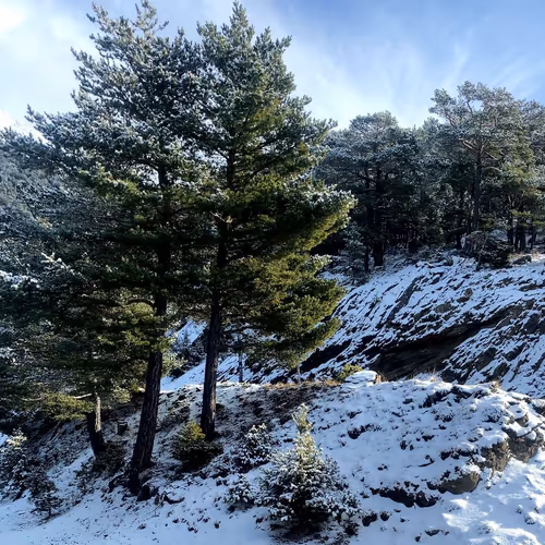 87966854685865378288972551538513469085404533103371768312802884472854353612676