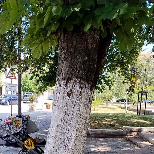 98705370616950483465877321913278569173788488817256500344685834732131750531385