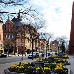 23309453340214642204187555043733817990215703488595065547058232760676411347121