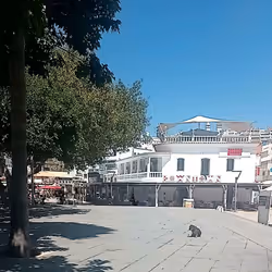 69626411648327743703004138746325939560959990269259781473888957420039599783370