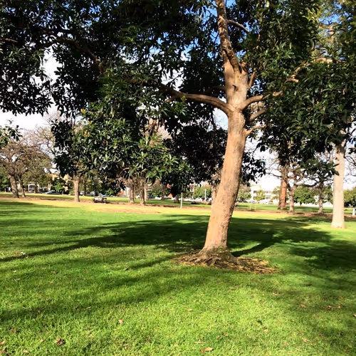 Item #113550531245207522406775751047733480288818516709642843180138100785060920679371 Media