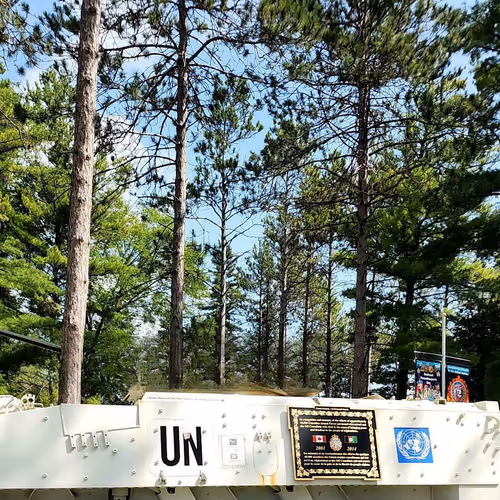 23573791357857336958874228849500442565479935408460048397984221748540718163120