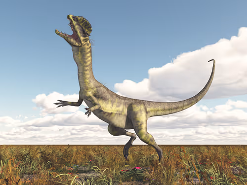 Item #78461983730280615524643030742255687998614988308829183850679247169782137487378 Media