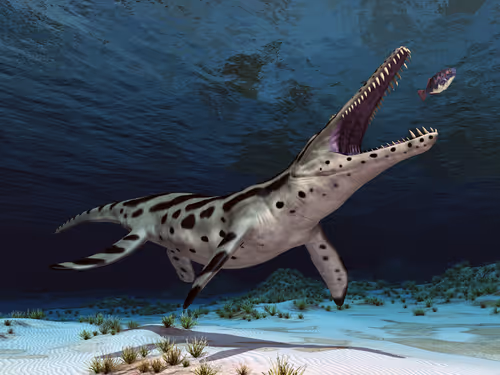 Item #78461983730280615524643030742255687998614988308829183850679247169782137487373 Media