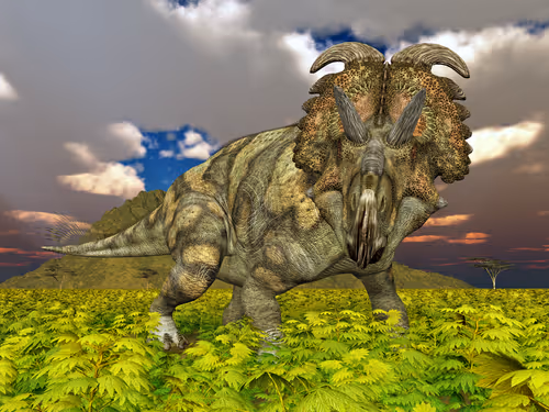 Item #78461983730280615524643030742255687998614988308829183850679247169782137487380 Media