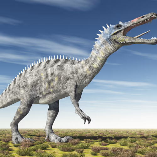 Dinosaur NFT Universe