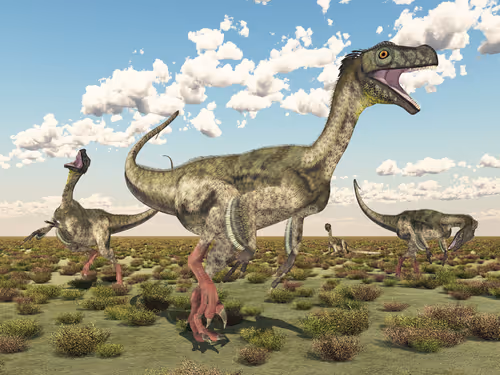 Item #78461983730280615524643030742255687998614988308829183850679247169782137487376 Media