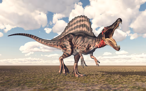 Item #78461983730280615524643030742255687998614988308829183850679247169782137487386 Media