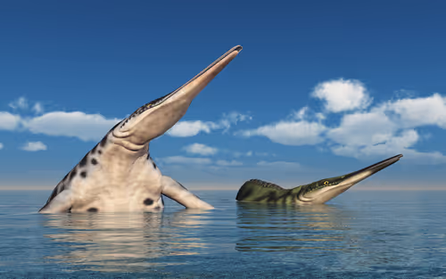 Item #78461983730280615524643030742255687998614988308829183850679247169782137487371 Media