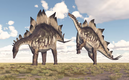 Item #78461983730280615524643030742255687998614988308829183850679247169782137487390 Media