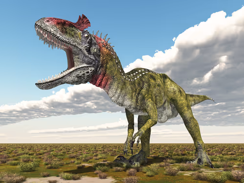 Item #78461983730280615524643030742255687998614988308829183850679247169782137487362 Media