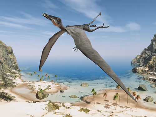 Item #78461983730280615524643030742255687998614988308829183850679247169782137487389 Media