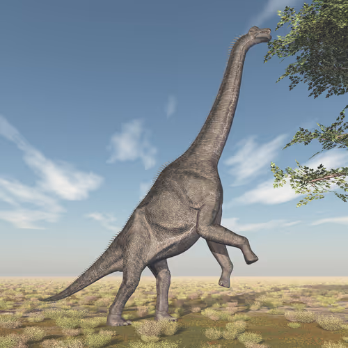 Item #78461983730280615524643030742255687998614988308829183850679247169782137487387 Media