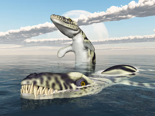 Item #78461983730280615524643030742255687998614988308829183850679247169782137487375 Media