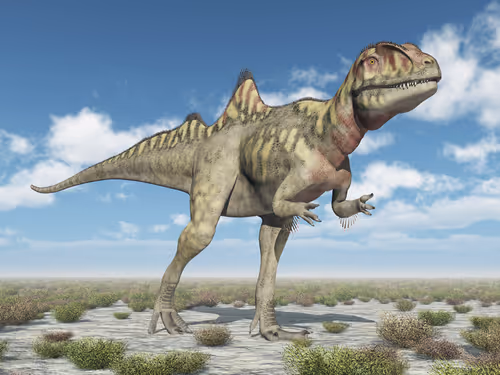 Item #78461983730280615524643030742255687998614988308829183850679247169782137487367 Media