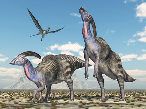 Item #78461983730280615524643030742255687998614988308829183850679247169782137487370 Media