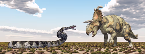 Item #78461983730280615524643030742255687998614988308829183850679247169782137487363 Media