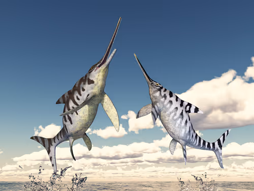 Item #78461983730280615524643030742255687998614988308829183850679247169782137487372 Media