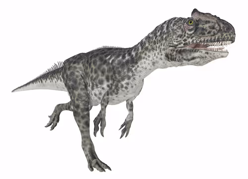 Item #78461983730280615524643030742255687998614988308829183850679247169782137487366 Media