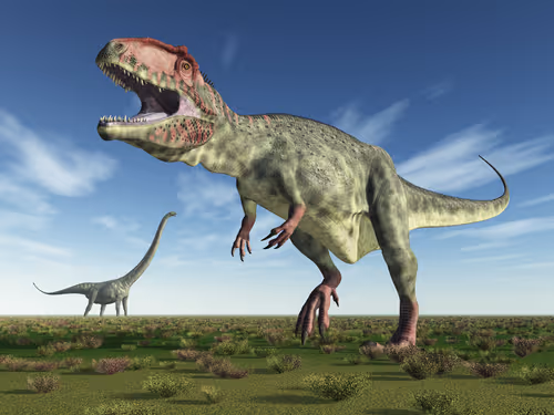 Item #78461983730280615524643030742255687998614988308829183850679247169782137487379 Media